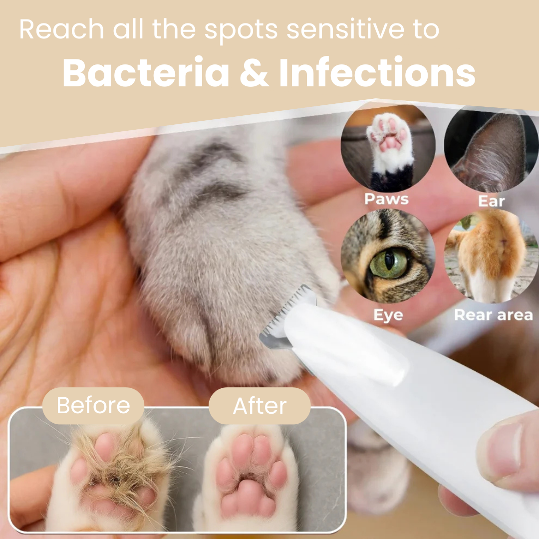 Give Your Cat Years More Comfort and Happiness with The Aurea