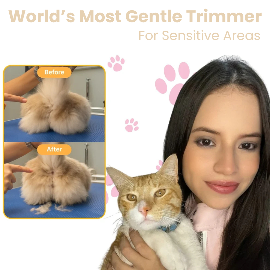 Give Your Cat Years More Comfort and Happiness with The Aurea