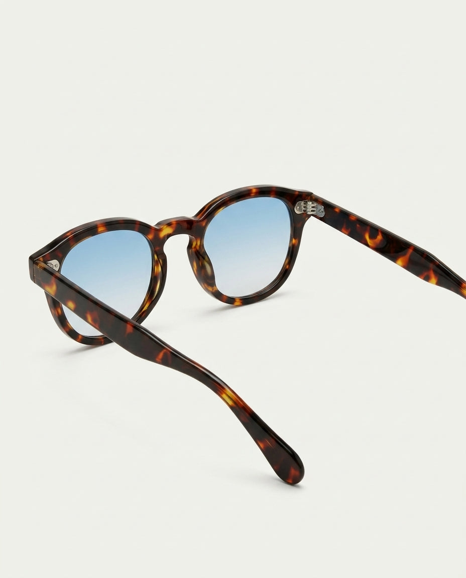 Lugano Tortoise