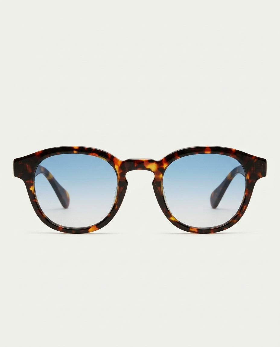Lugano Tortoise