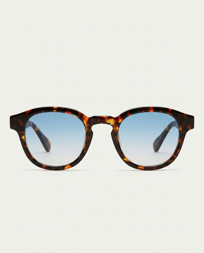 Lugano Tortoise