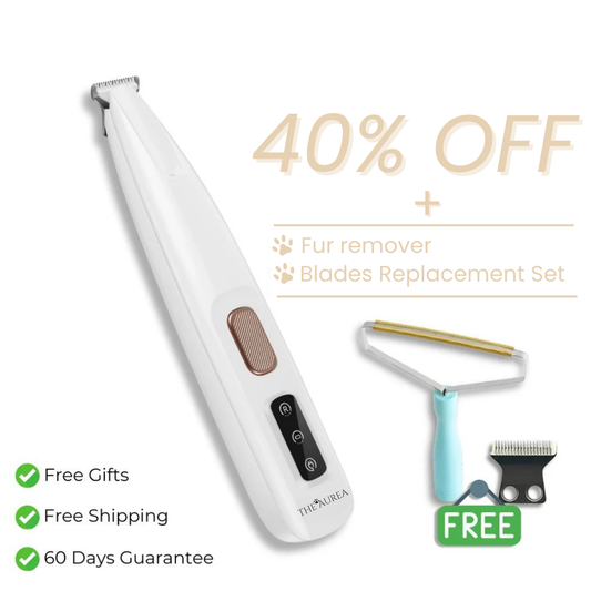 Give Your Cat Years More Comfort and Happiness with The Aurea