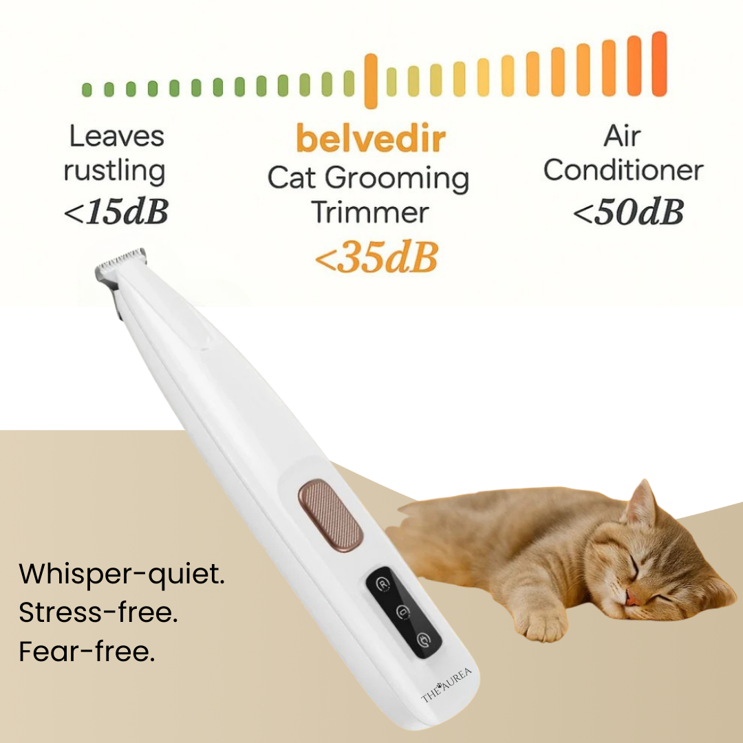 Give Your Cat Years More Comfort and Happiness with The Aurea