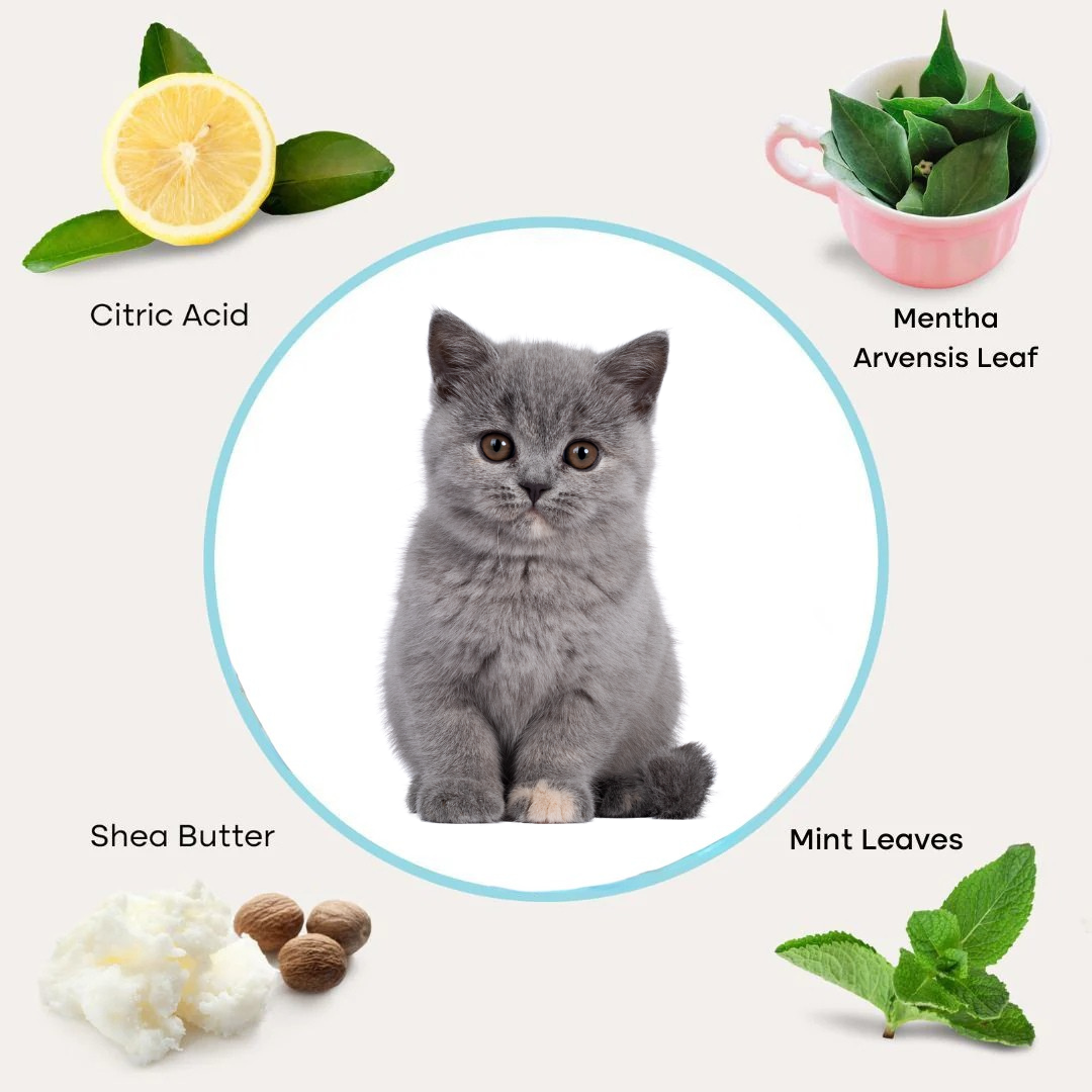 Pet Dental Wipes for Dogs & Cats